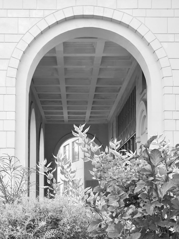 Photograph by Рина Серёгина