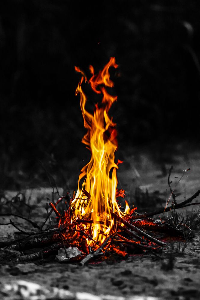 Photograph by Хельга Кольцова