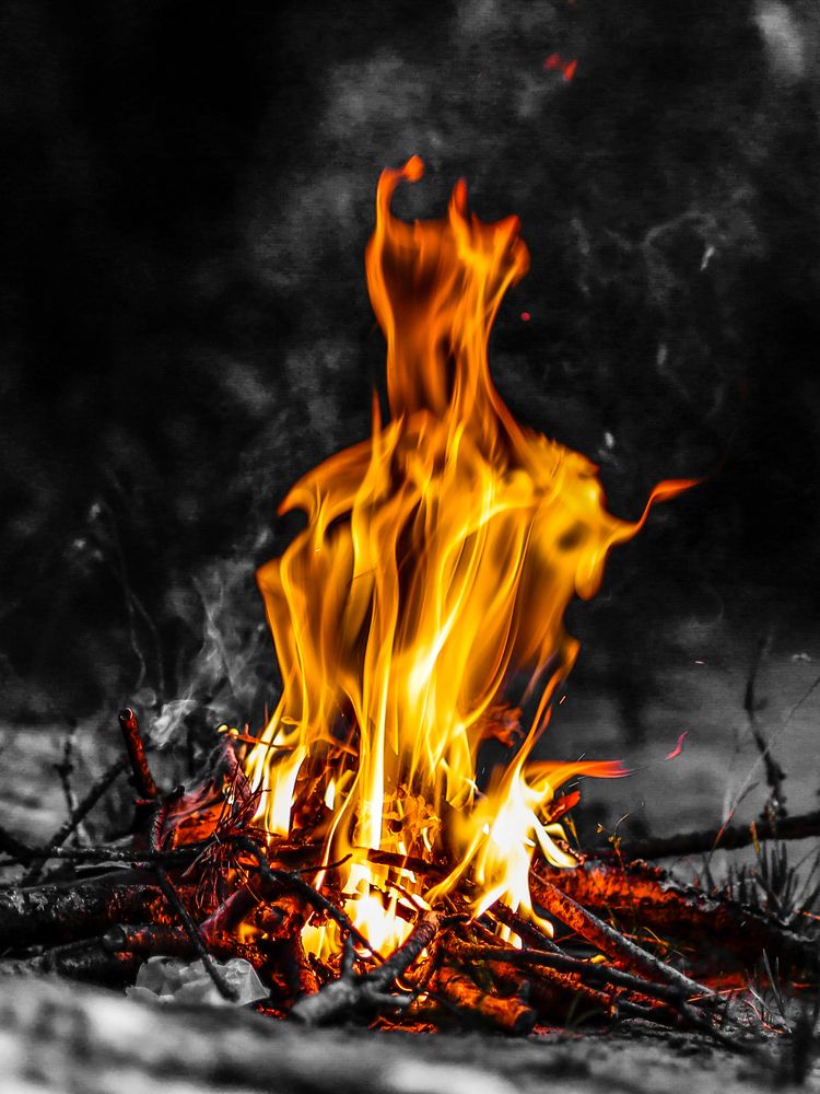 Photograph by Хельга Кольцова