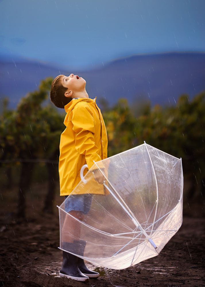 Photograph by Marta Jané