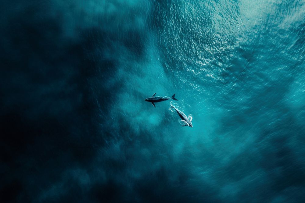 Photograph by Eleanna Tavlikou