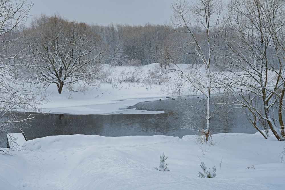 Photograph by Михаил Косолапов