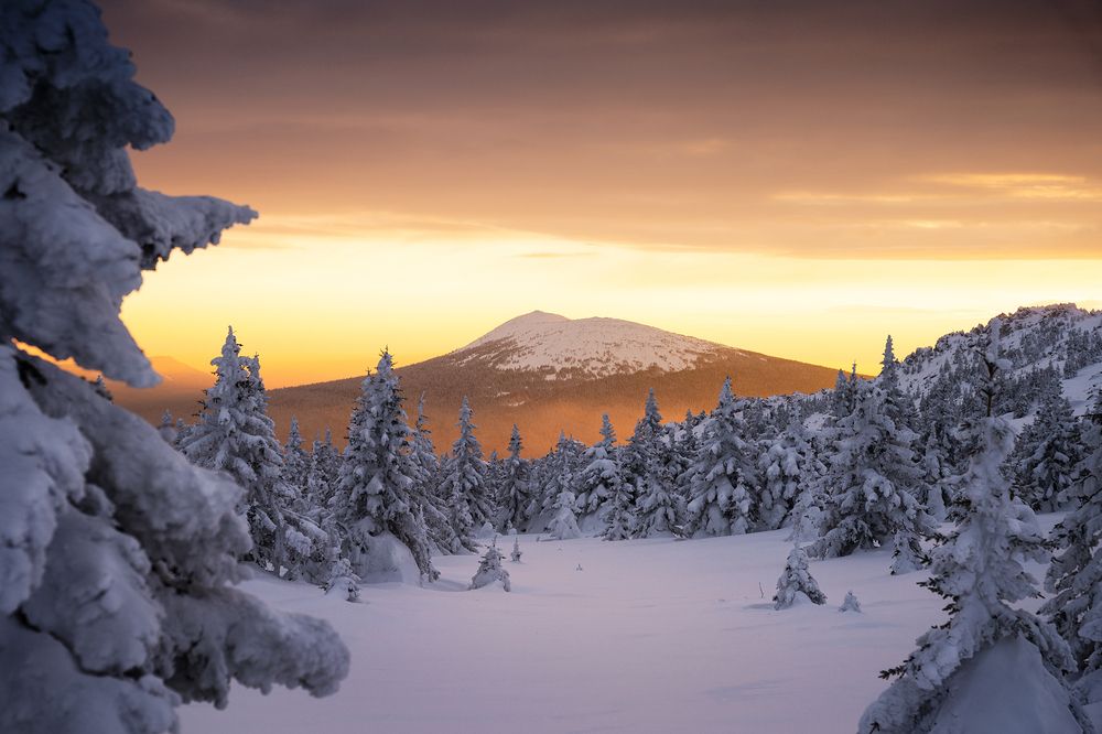 Photograph by Уфимцев Юрий