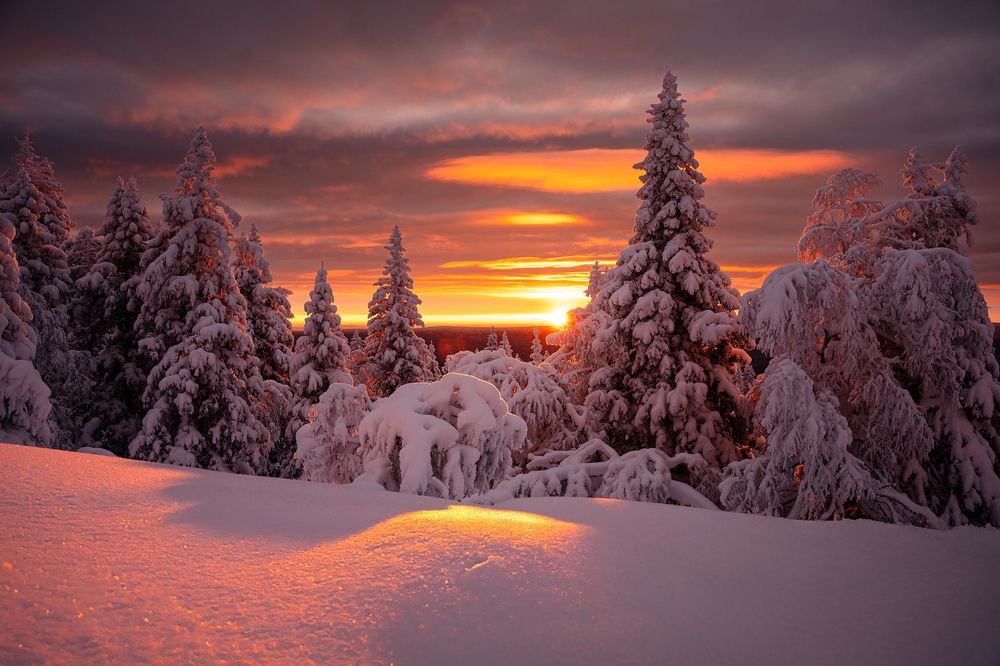 Photograph by Уфимцев Юрий