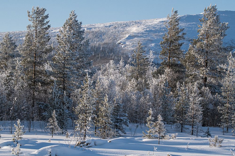 Photograph by Юрий Платухин