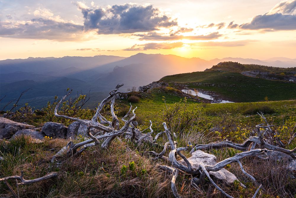 Photograph by Уфимцев Юрий