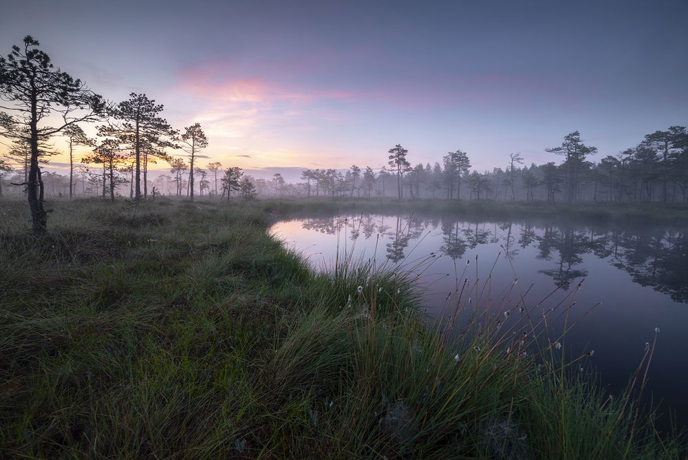 Photograph by Радик Гатауллин