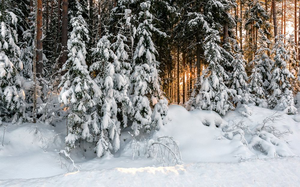 Photograph by Андрей Симаков