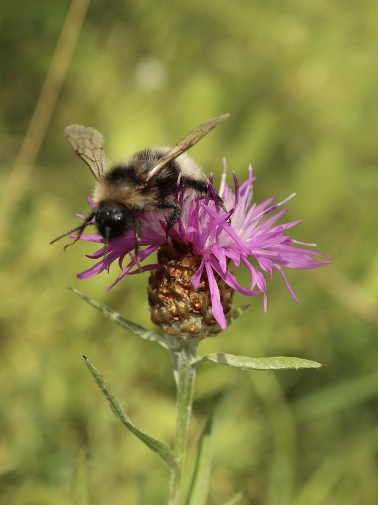 Photograph by Рина Серёгина