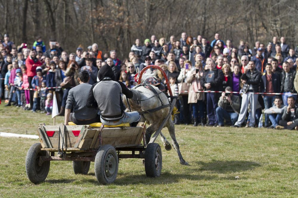 Photograph by Невен Иванов