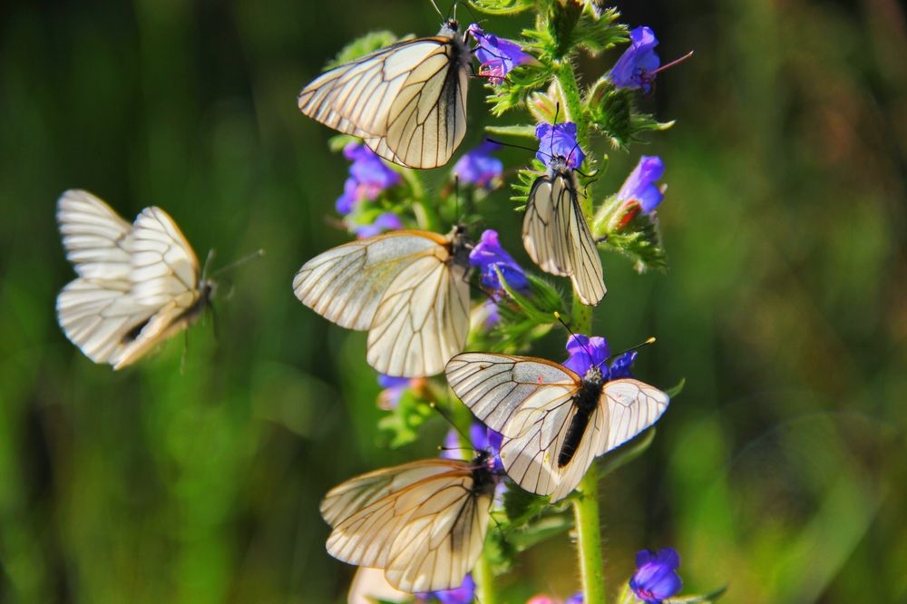 Photograph by Анна Любимова