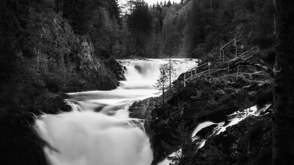 Photograph by Семенюк Василий