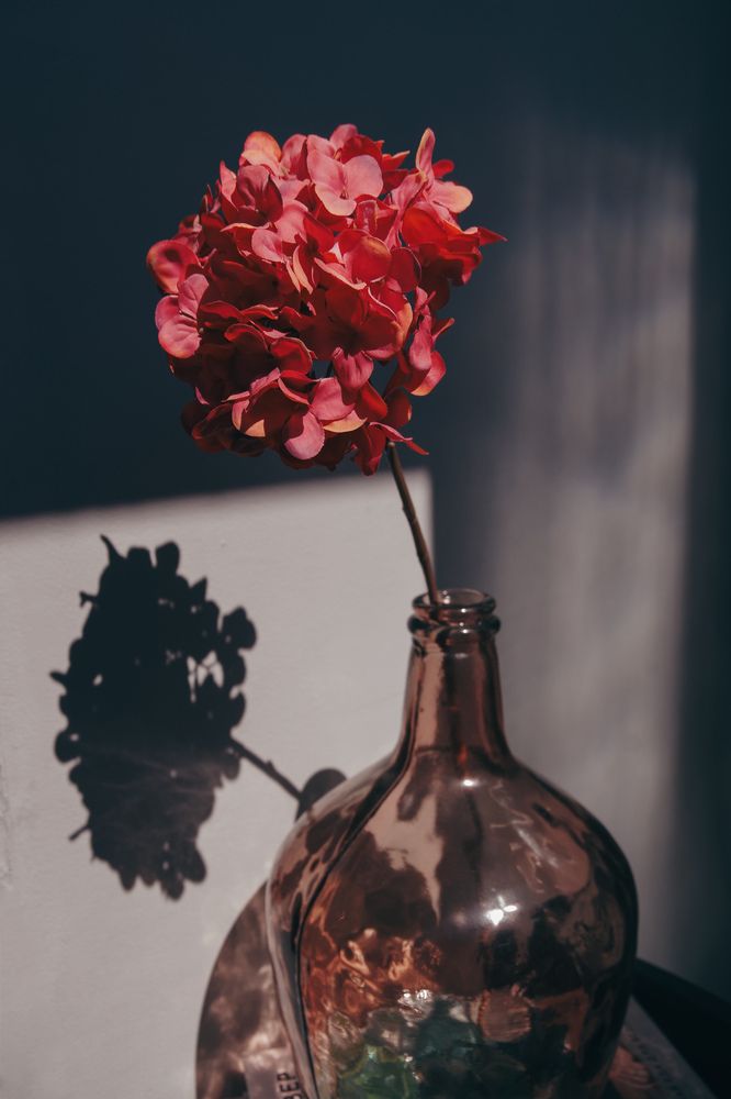 Photograph by Julia Smilovitsky