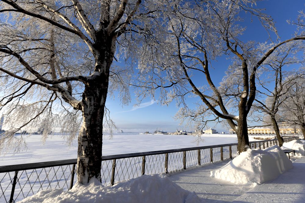 Photograph by Озодаша Вишневская