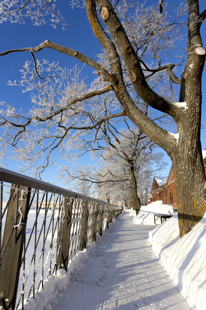 Photograph by Озодаша Вишневская