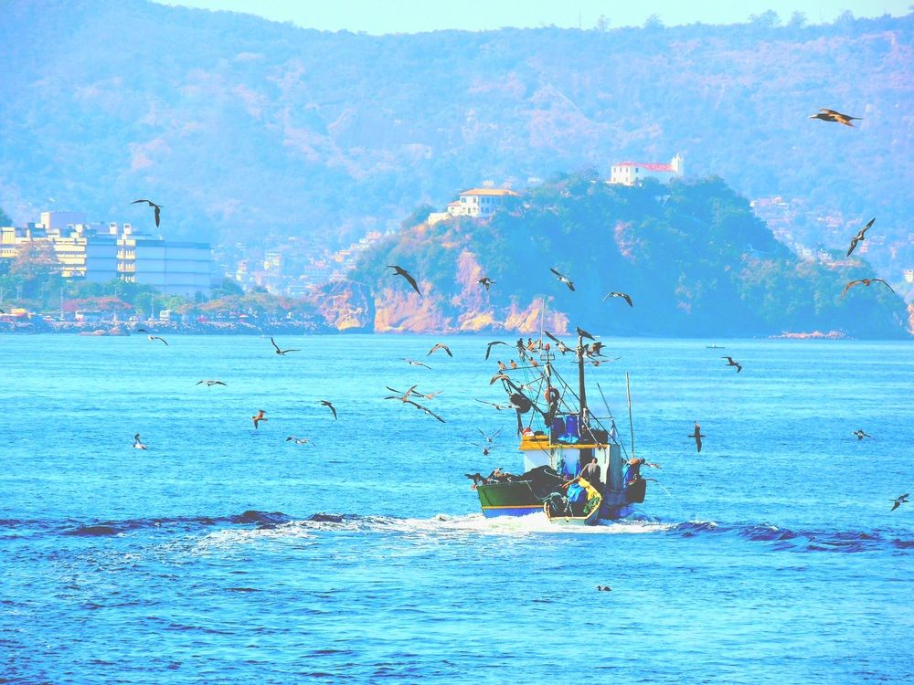 Photograph by Meire Costa