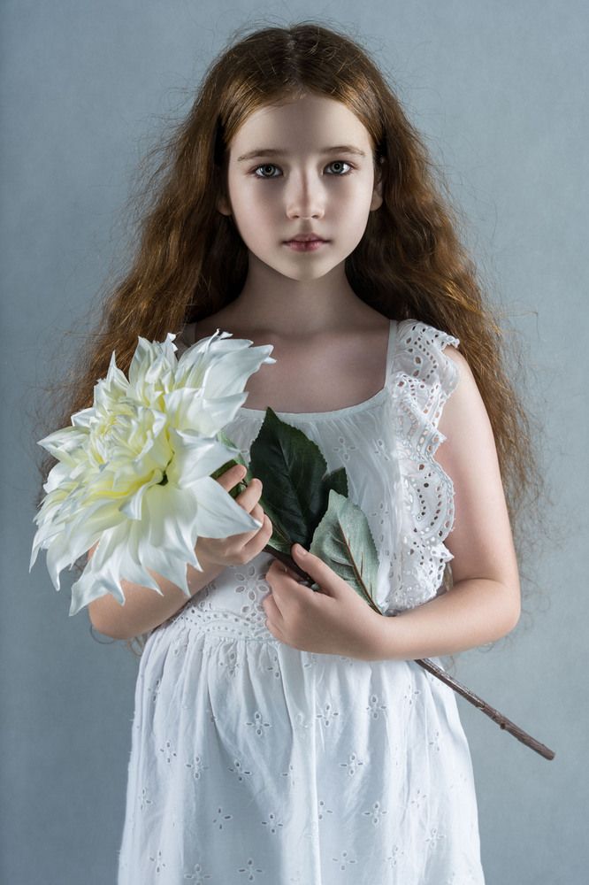 Фотография автора Robert Stein