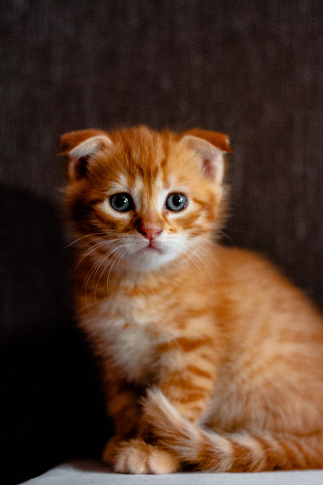 Фотография автора Никита Сагунов