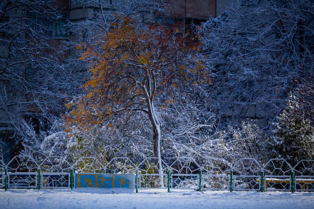 Photograph by Шарпе Станислав