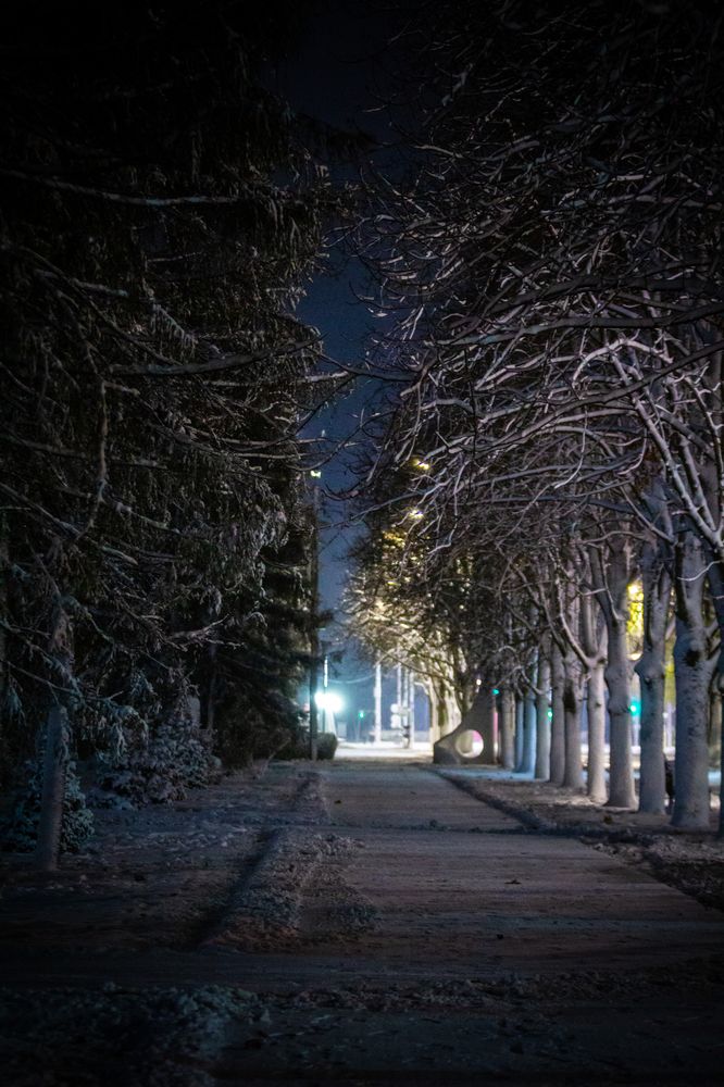 Photograph by Шарпе Станислав