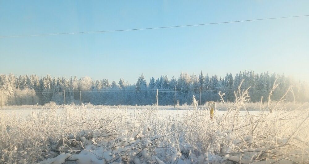 Photograph by София Бояринцева
