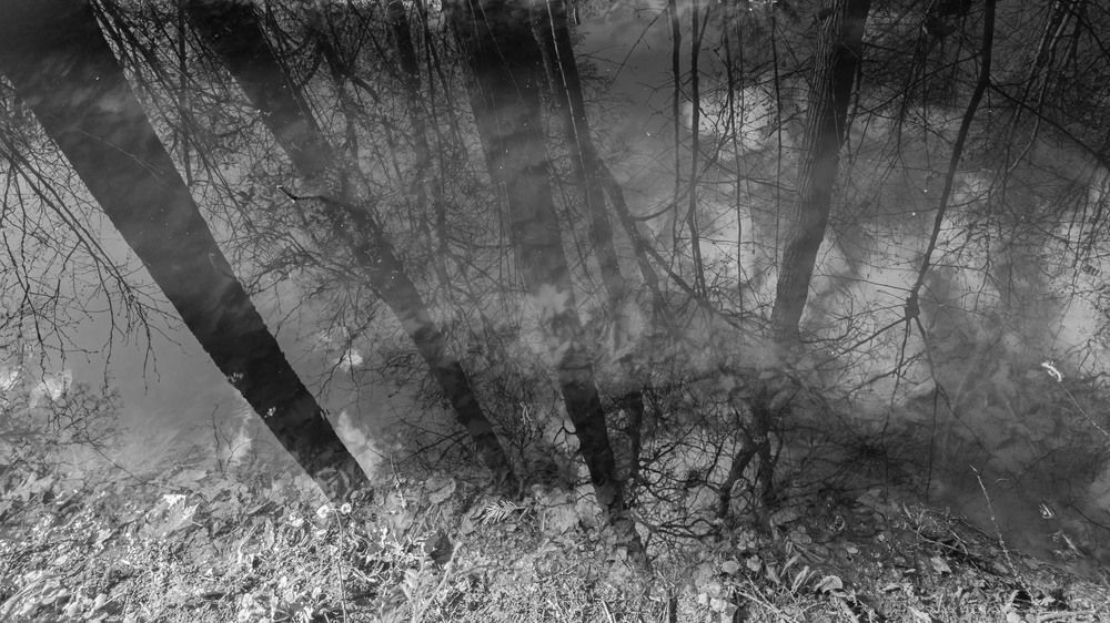 Photograph by Александр Довганюк