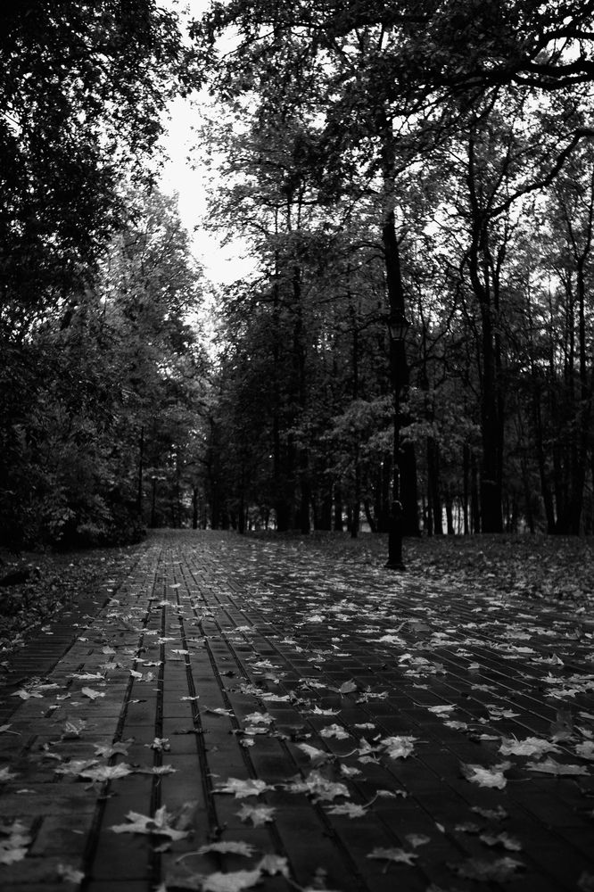 Photograph by Озодаша Вишневская