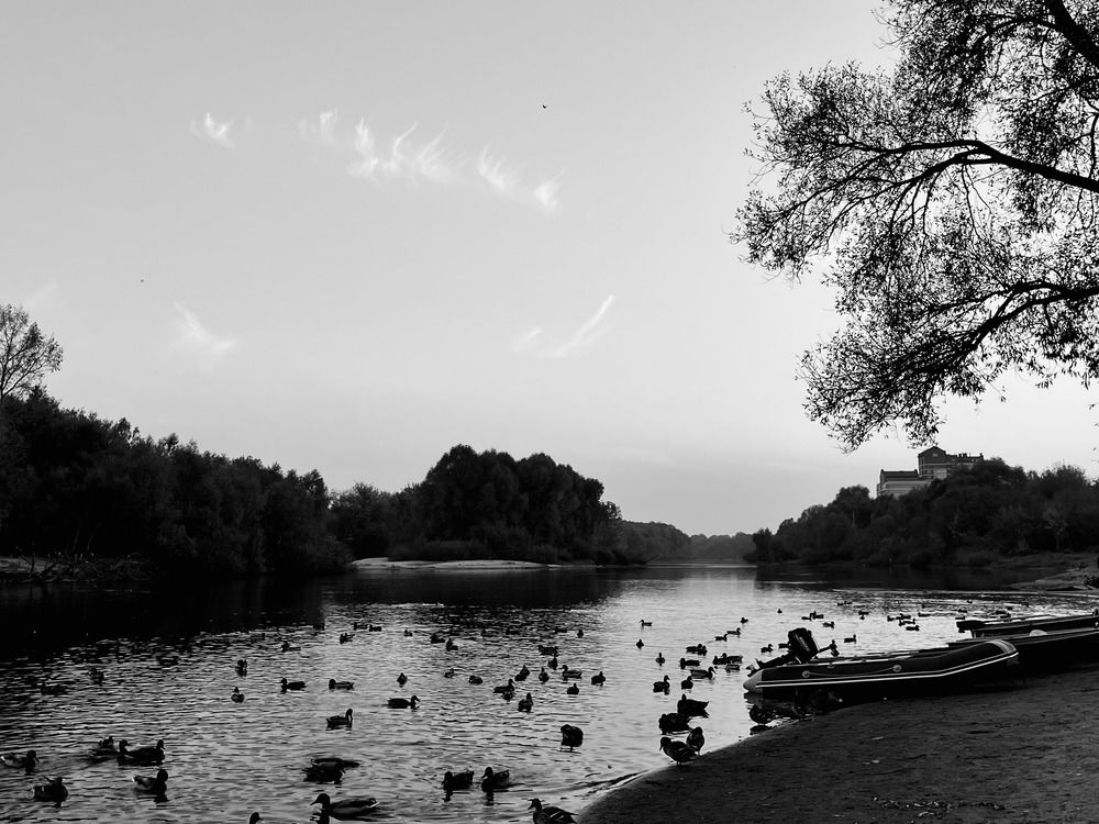 Photograph by Озодаша Вишневская