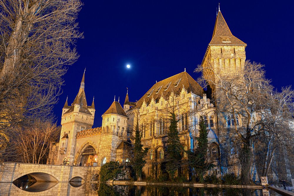 Фотография автора Faller Tamás