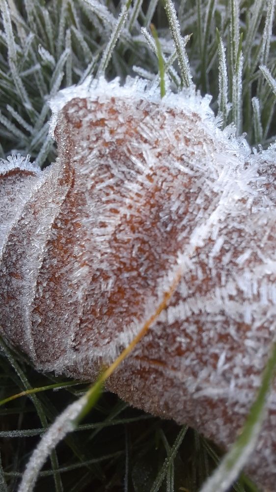 Photograph by sameera madushantha