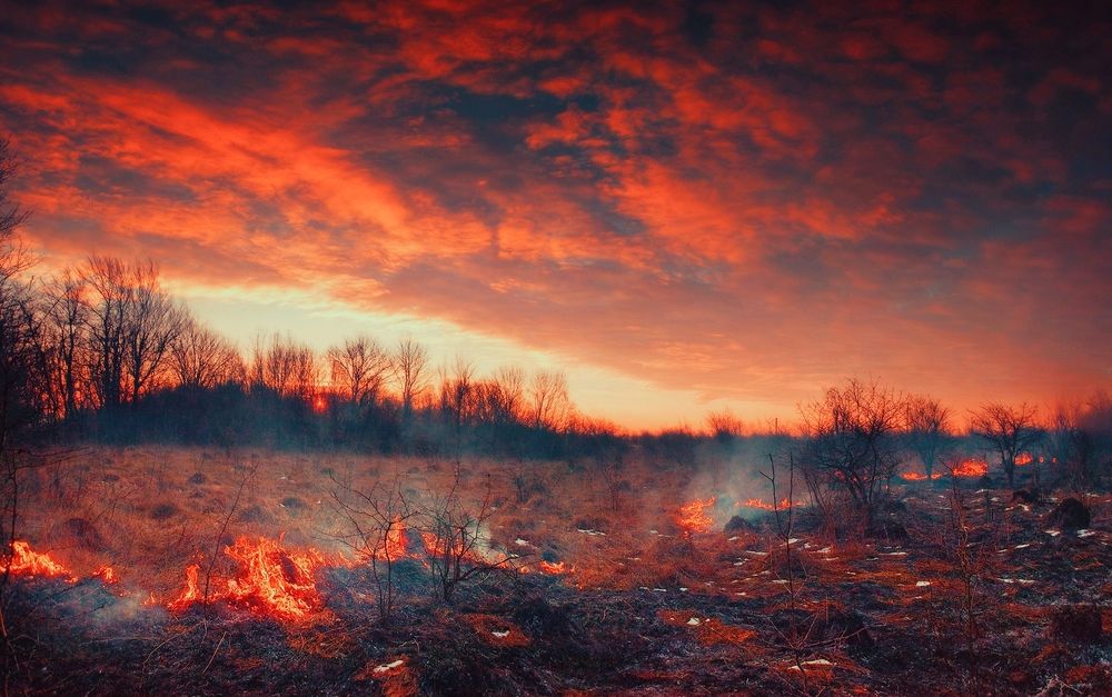 Photograph by Владимир