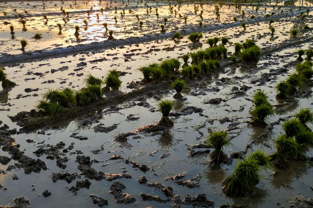 Photograph by Amirhusseinalinia