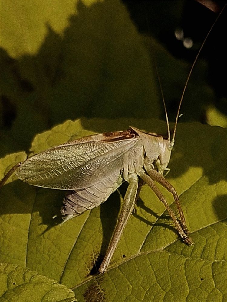 Photograph by Ия Дирко