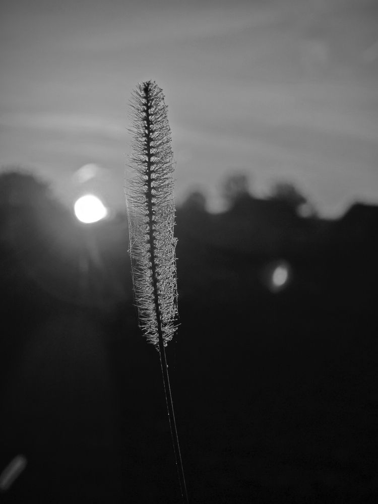 Photograph by Шарпе Станислав
