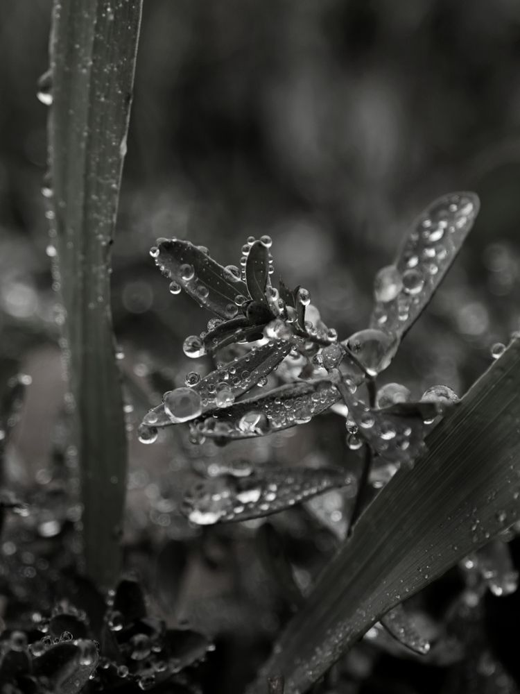 Photograph by Шарпе Станислав