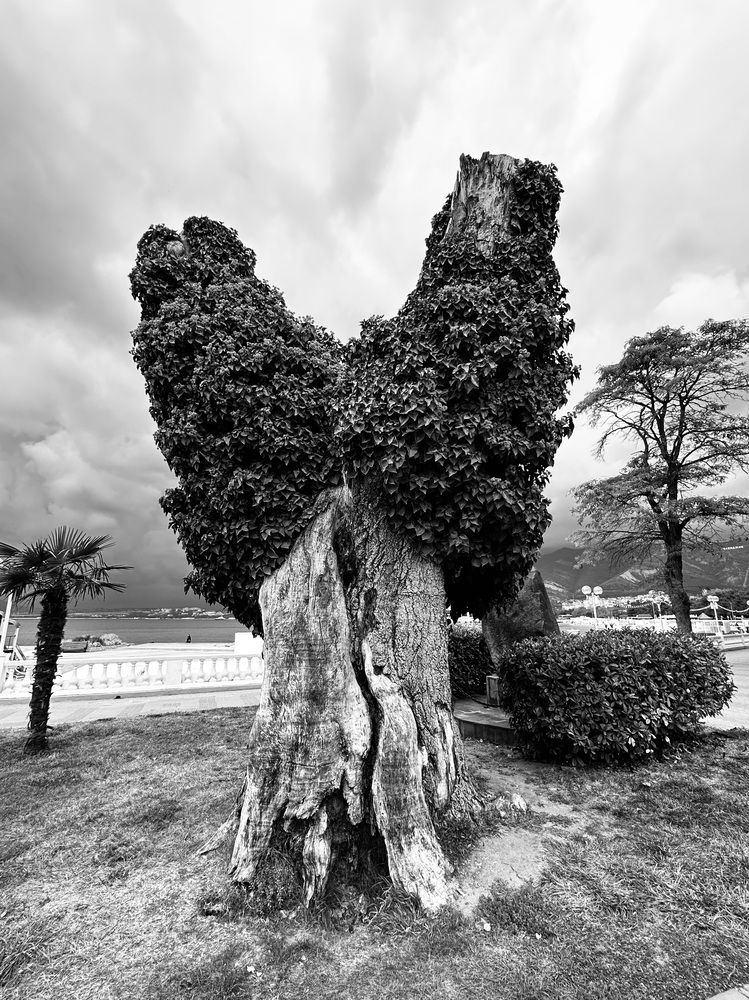 Photograph by Светлана Ионова