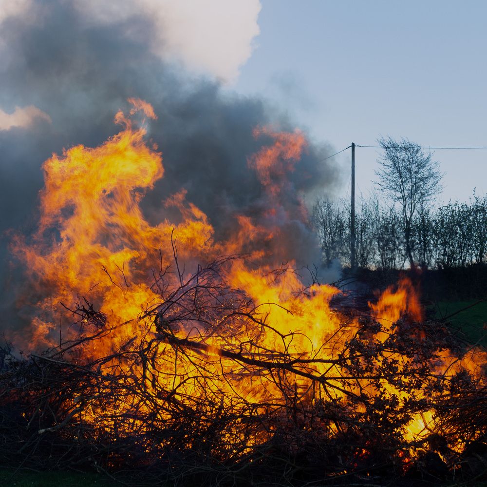 Photograph by Дьяченко Алёна