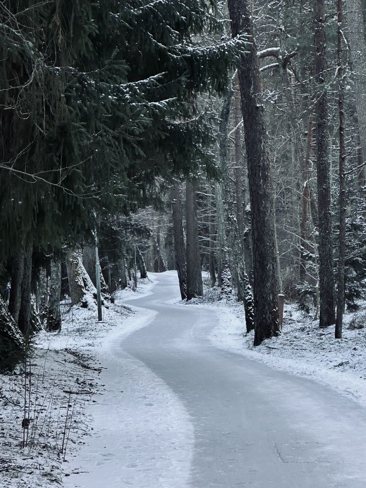 Photograph by Jekaterina Michejeva