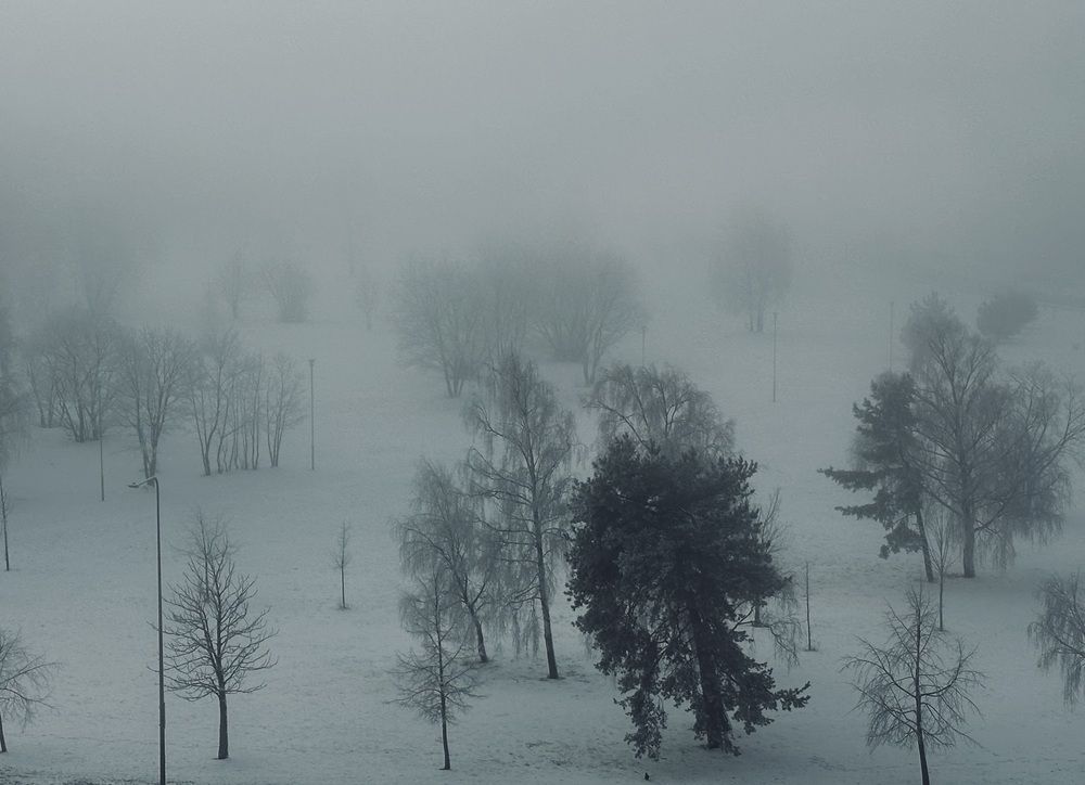 Photograph by Jekaterina Michejeva