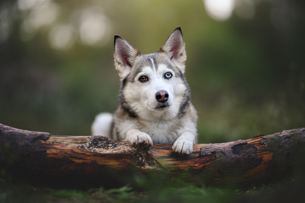 Фотография автора Rut Casanellas