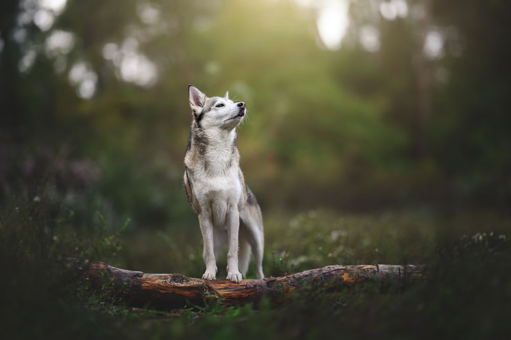 Фотография автора Rut Casanellas