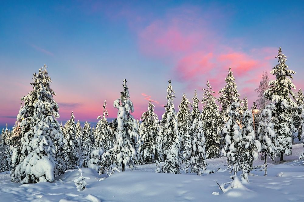 Photograph by Abhishek