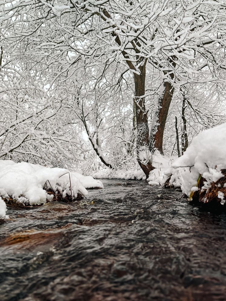 Photograph by Сергей Данилов