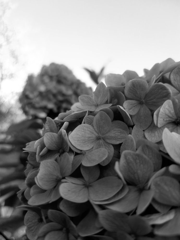 Photograph by sameera madushantha