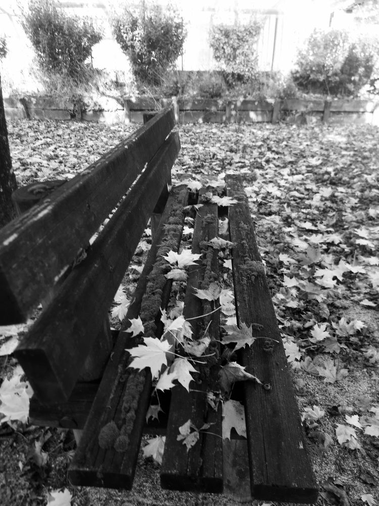 Photograph by sameera madushantha