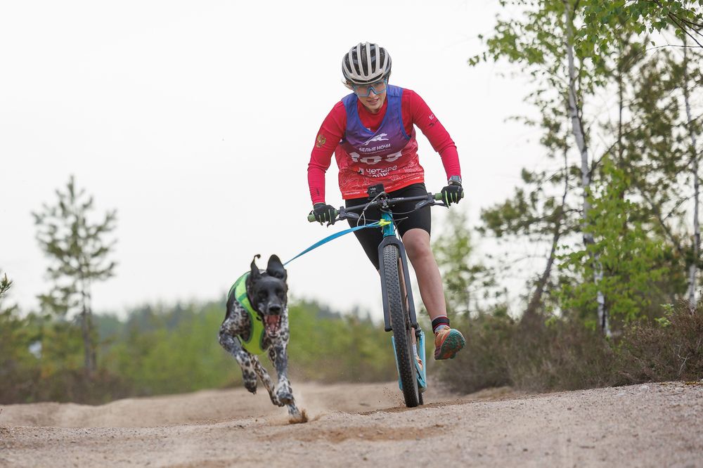 Photograph by Илья Юфа