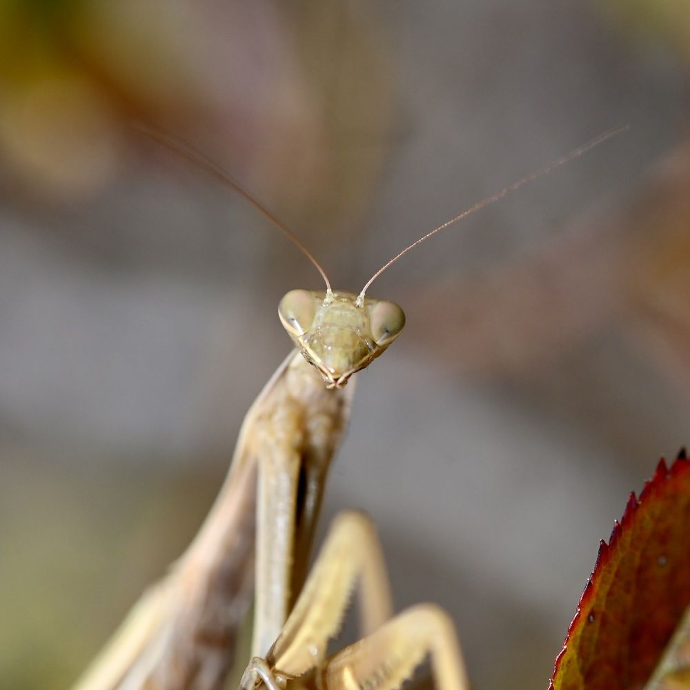 Photograph by Дмитрий Батагов