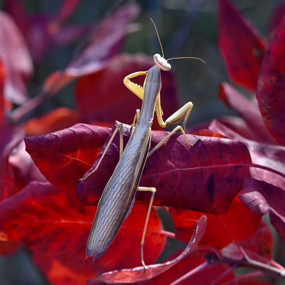 Photograph by Дмитрий Батагов