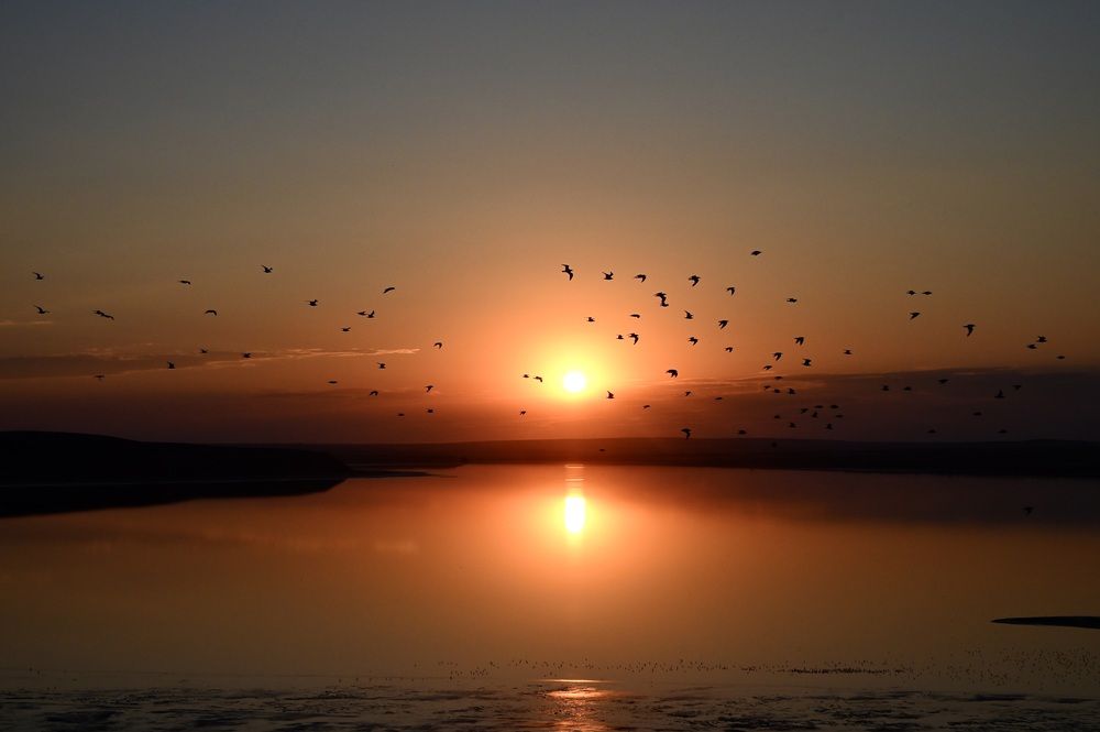 Photograph by Дмитрий Батагов