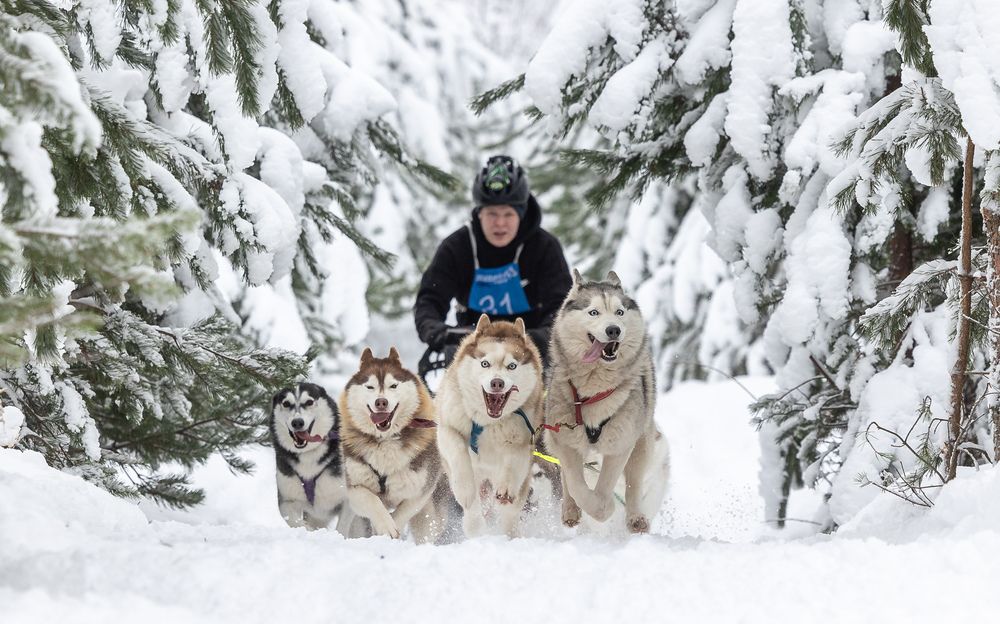 Photograph by Илья Юфа